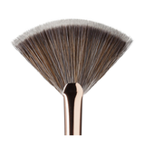 Fan Brush