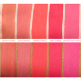 Makeup Geek - Plush Lip Matte: Beach Bunny